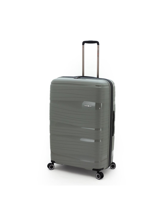 Большой чемодан на двойных колесах коллекции Flash