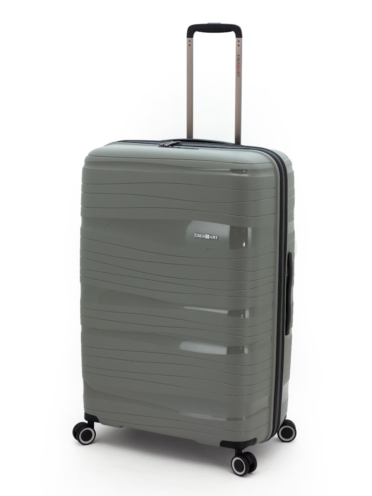 Фото Большой чемодан на двойных колесах коллекции Flash Чемоданы